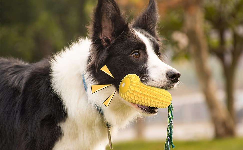 Dog Toy Toothbrush